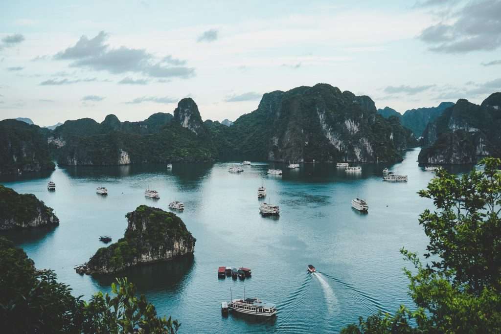 Live in Vietnam