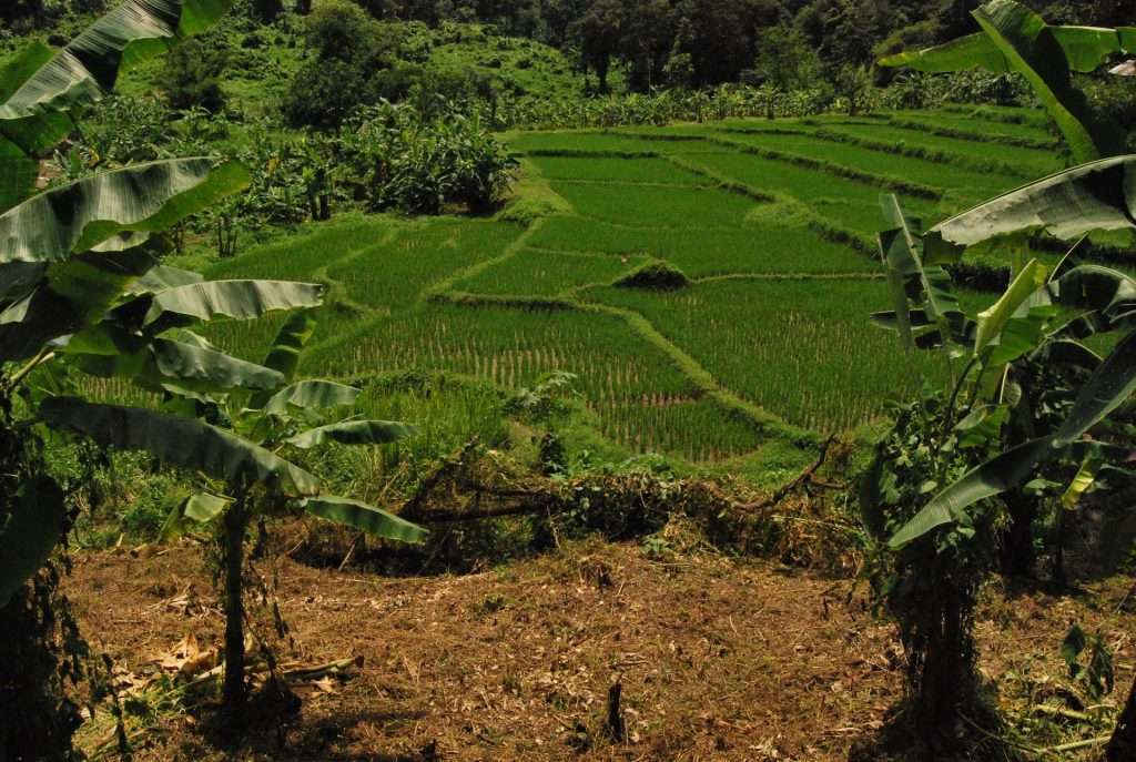 The four regions of Thailand - Isaan