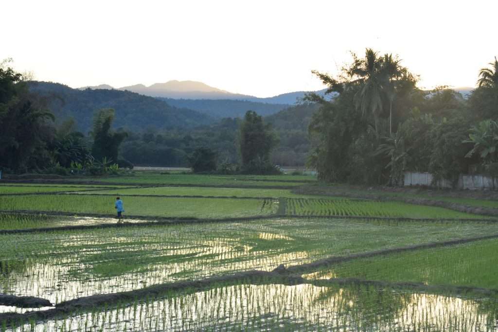 Living in Pai, Thailand
