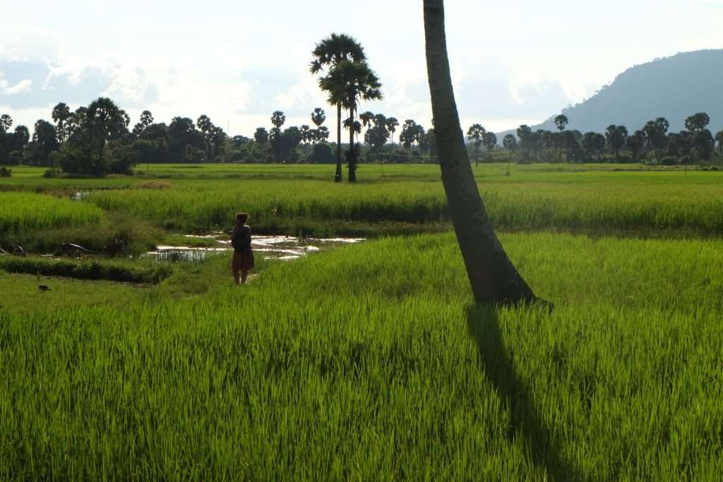 Get used to hills and lush rice paddies whilst you're living in Kampot, Cambodia.