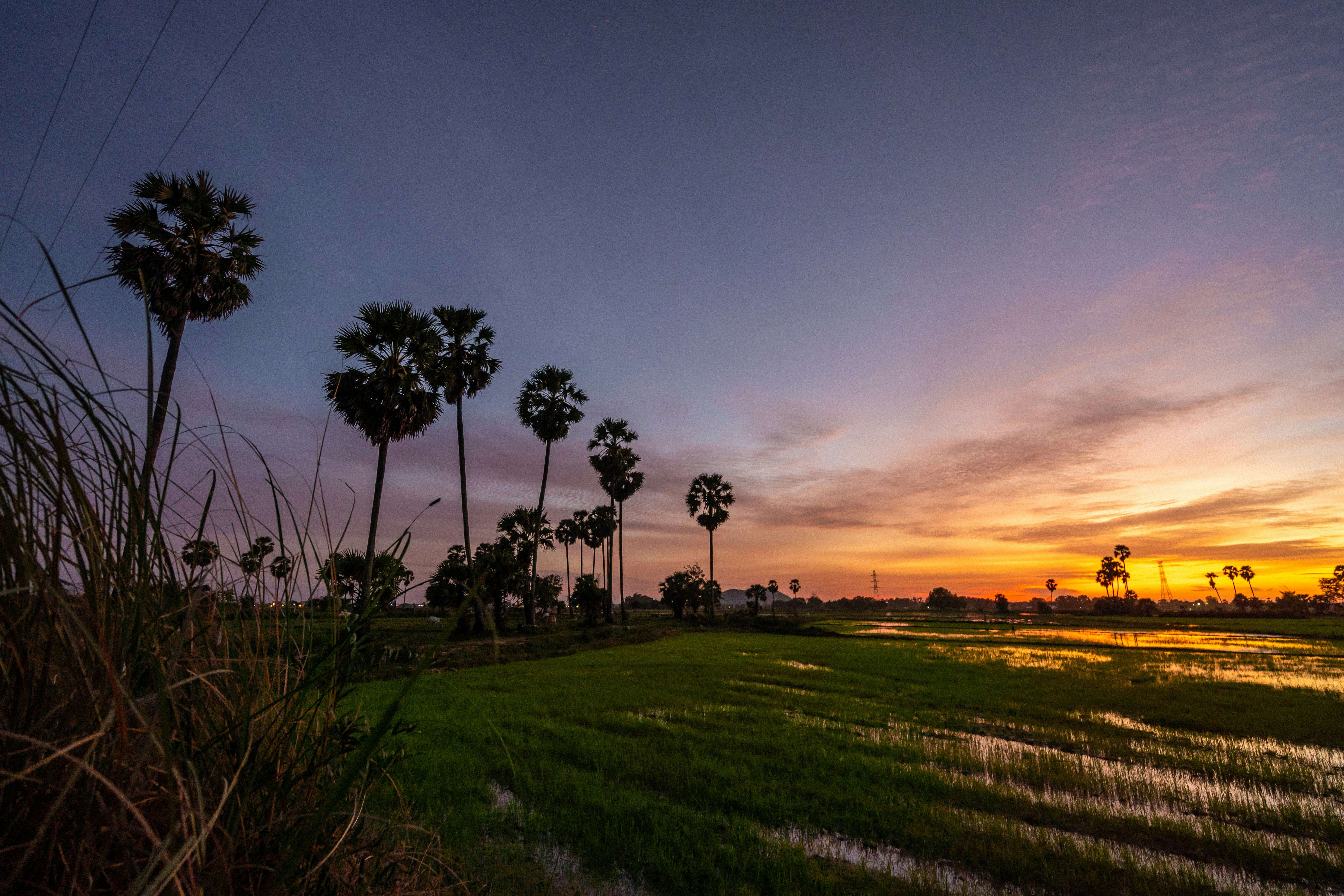Retire in cambodia