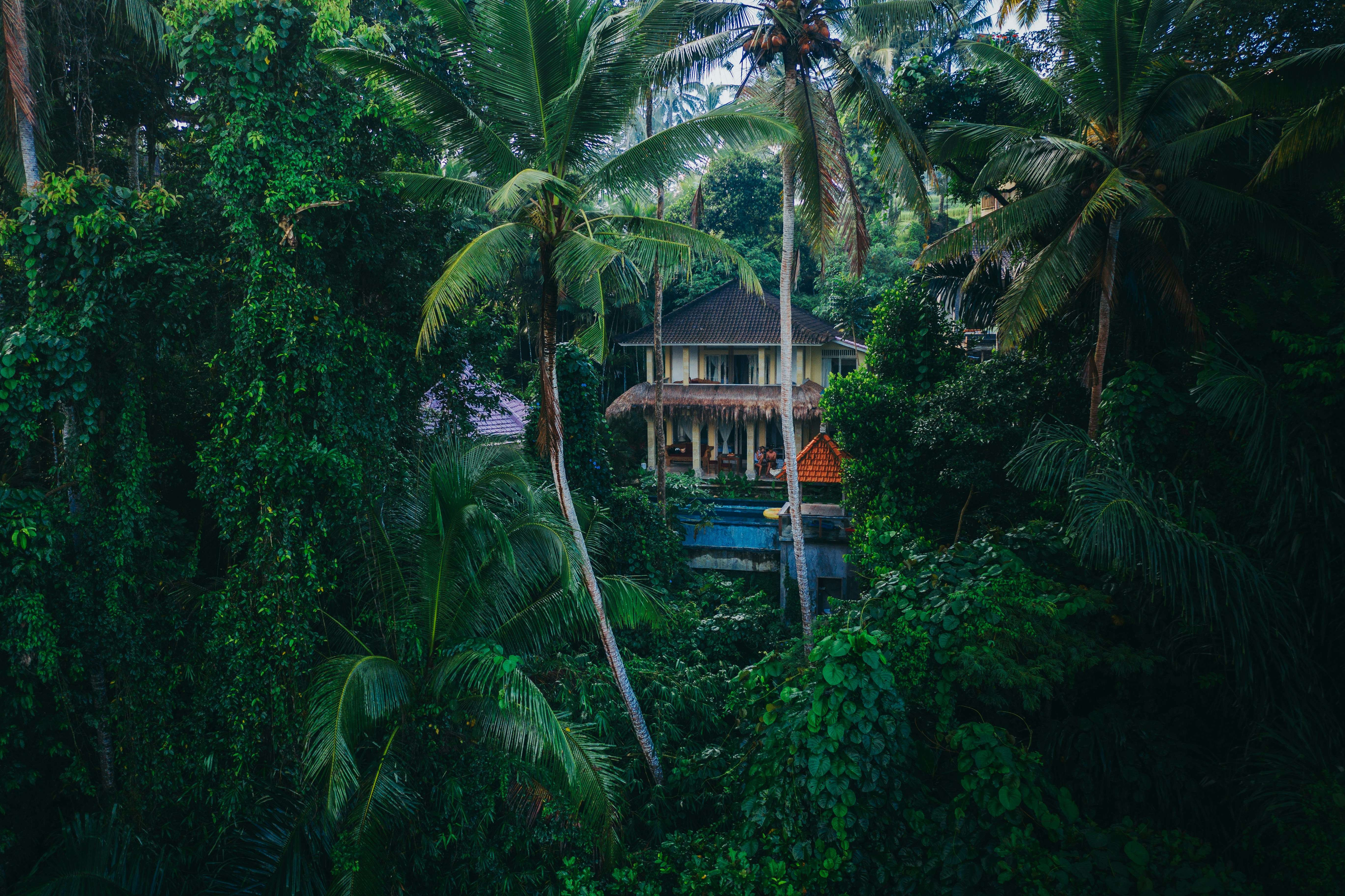buy land in asia
