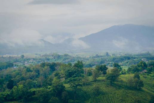 Buying a second-hand motorbike in Thailand takes a lot of planning and coordination. This guide is to help you buy a motorbike correctly and transfer the vehicle into your legal name