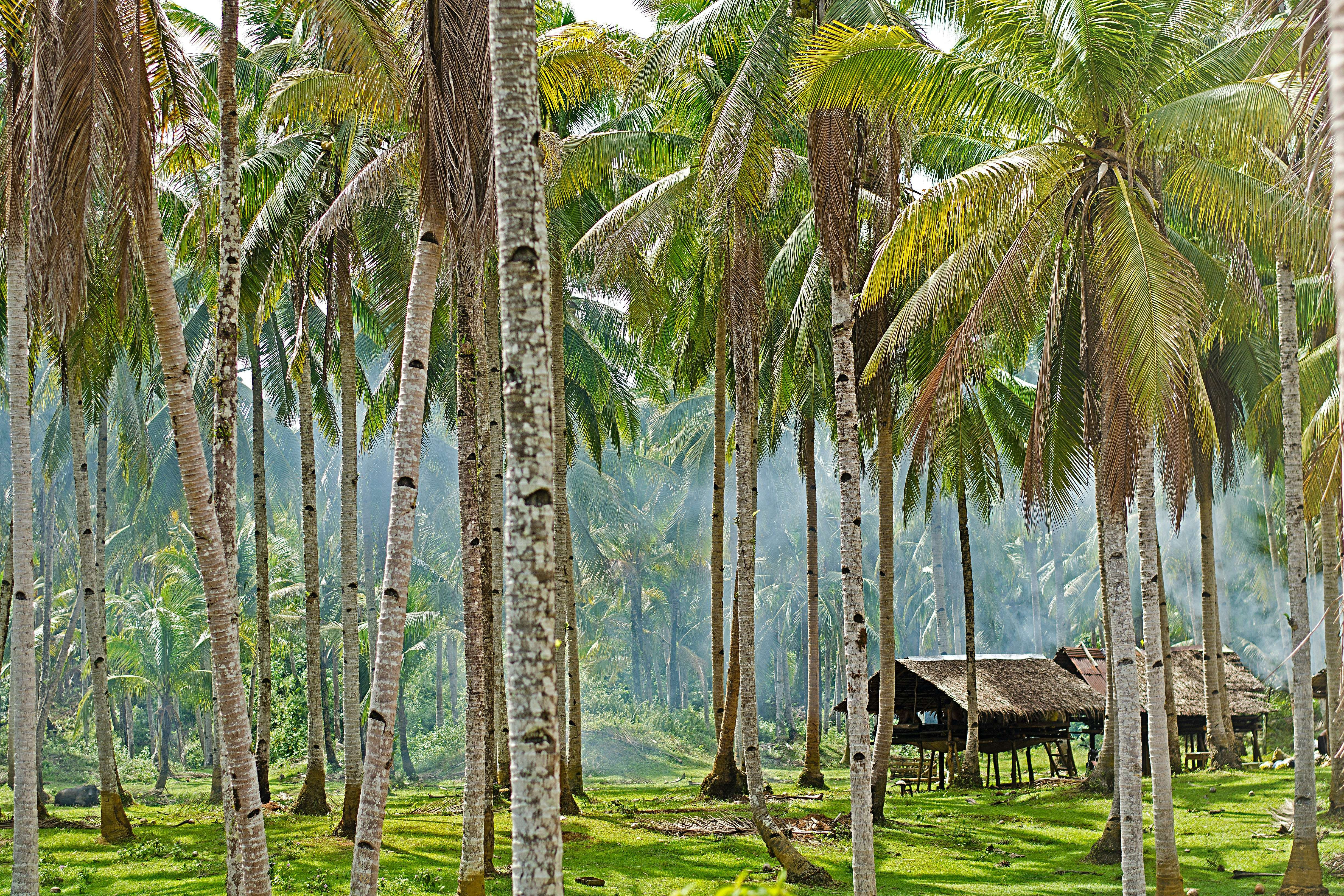 Digital nomad Philippines